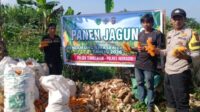 IMG-20260611-WA0003