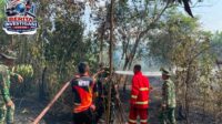 IMG-20260812-WA0068